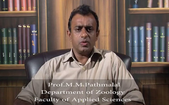 Prof M M Pathmalal Dept of Zoology