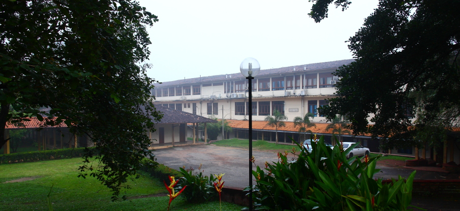 Department of Chemistry