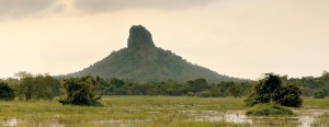 Thoppigala