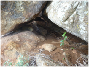 Thoppigala cave remnants