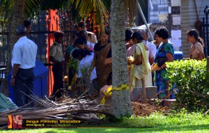 dengue prevention shramadana