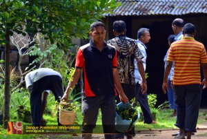 dengue prevention shramadana