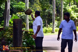 dengue prevention shramadana