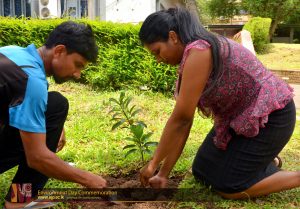 World Environment Day Commemoration