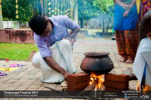 Thaipongal Festival