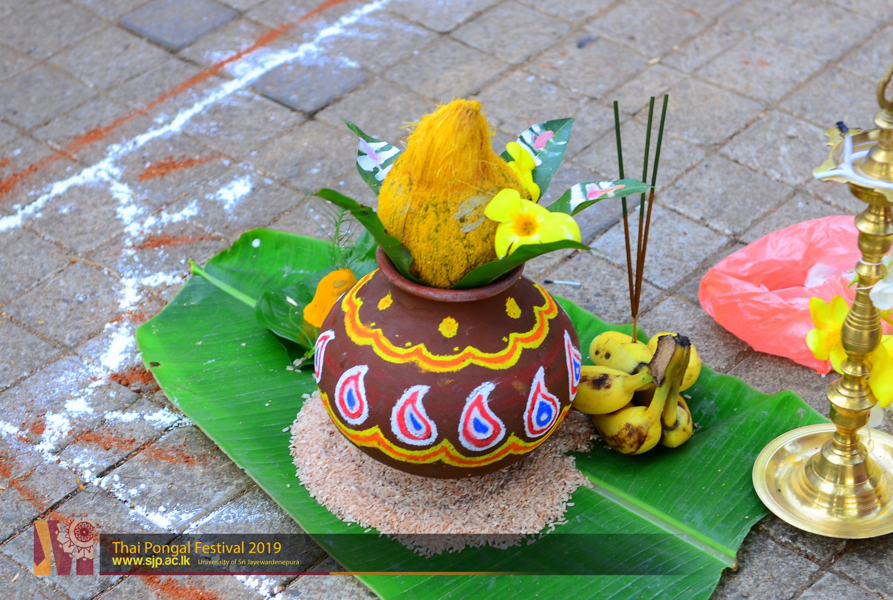 Thai pongal 2021 picture