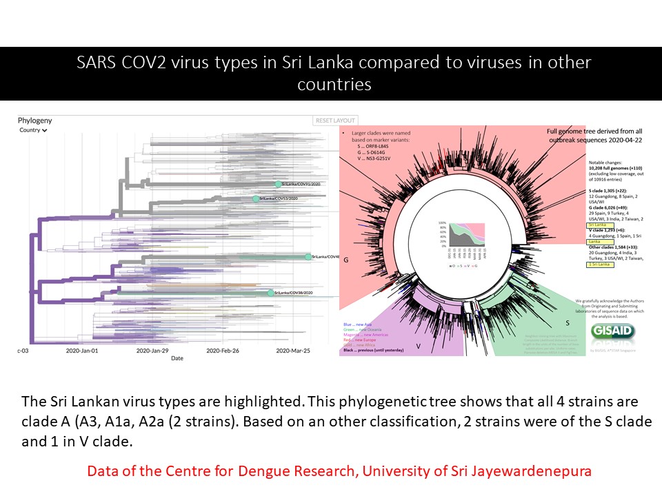 Usj Dengue Research Scientists Sequenced Sars Cov2 Coivd19 Viruses First Time In Sri Lanka Usj University Of Sri Jayewardenepura Sri Lanka